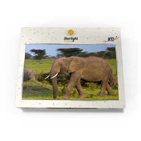 Masai Mara, Kenya, elephants 100 Jigsaw Puzzle box view1