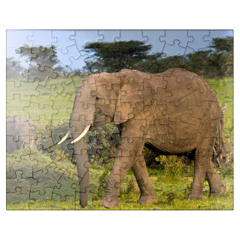 puzzleplate Masai Mara, Kenya, elephants 100 Jigsaw Puzzle