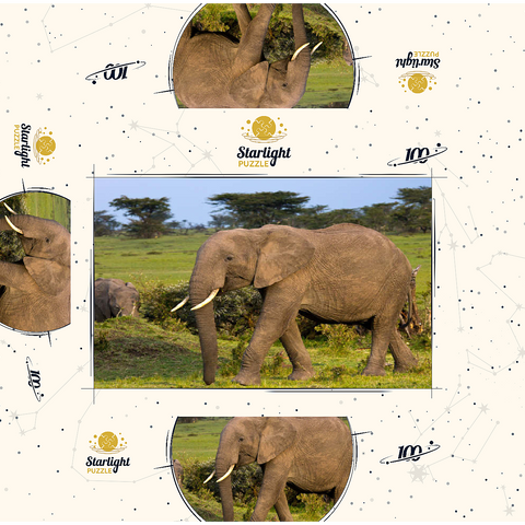 Masai Mara, Kenya, elephants 100 Jigsaw Puzzle box 3D Modell