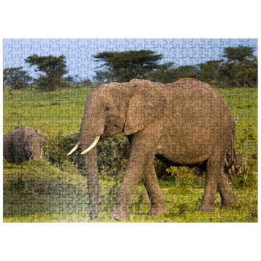 puzzleplate Masai Mara, Kenya, elephants 500 Jigsaw Puzzle