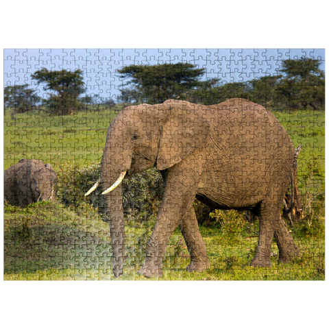 puzzleplate Masai Mara, Kenya, elephants 500 Jigsaw Puzzle