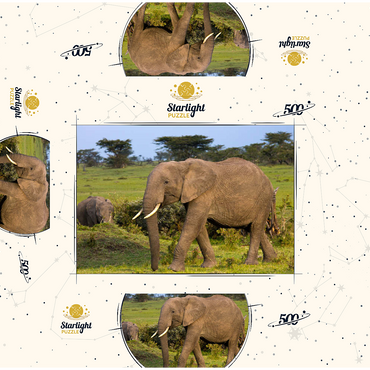 Masai Mara, Kenya, elephants 500 Jigsaw Puzzle box 3D Modell