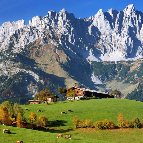 Farmhouse near Kitzbühel with Kaiser Mountains, Tyrol, Austria 100 Jigsaw Puzzle 3D Modell
