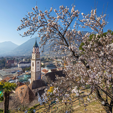 Blossoming almond tree with view from Tappeinerweg to the old town with the parish church of St. Nicholas 1000 Jigsaw Puzzle 3D Modell