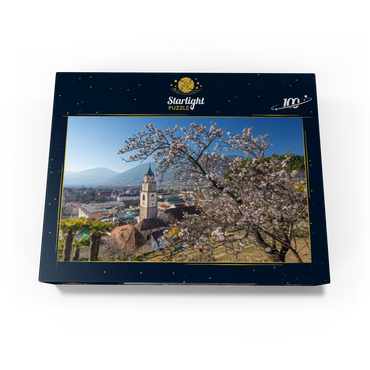 Blossoming almond tree with view from Tappeinerweg to the old town with the parish church of St. Nicholas 100 Jigsaw Puzzle box view1