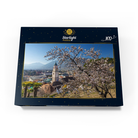 Blossoming almond tree with view from Tappeinerweg to the old town with the parish church of St. Nicholas 100 Jigsaw Puzzle box view1
