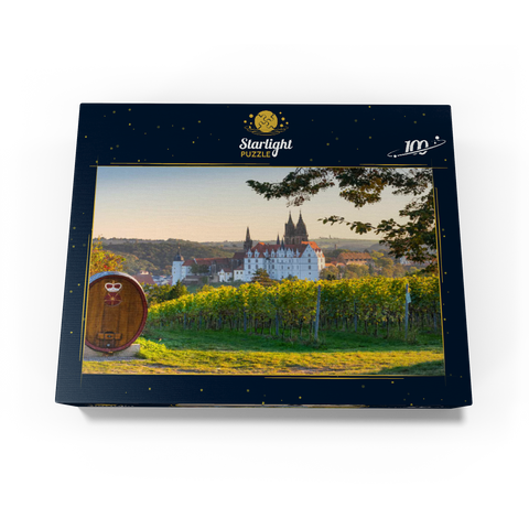 Vineyard, Proschwitz Castle Winery with view to Albrechtsburg Castle and Cathedral 100 Jigsaw Puzzle box view1