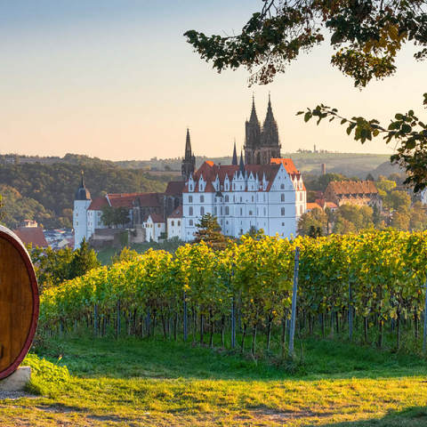 Vineyard, Proschwitz Castle Winery with view to Albrechtsburg Castle and Cathedral 100 Jigsaw Puzzle 3D Modell