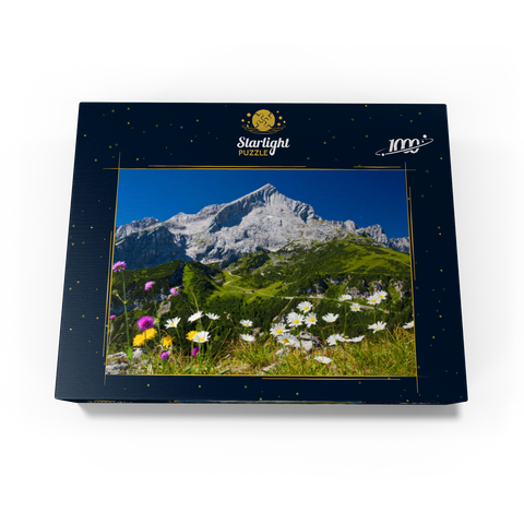 View from Kreuzjoch (1719m) to Hochalm against Alpspitze (2628m) with daisies 1000 Jigsaw Puzzle box view1