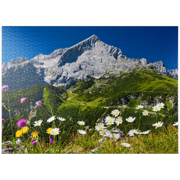 puzzleplate View from Kreuzjoch (1719m) to Hochalm against Alpspitze (2628m) with daisies 1000 Jigsaw Puzzle