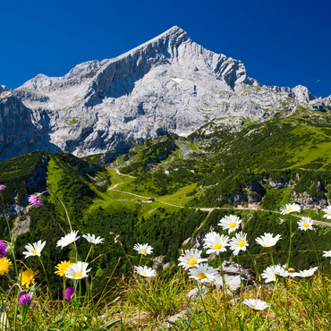 View from Kreuzjoch (1719m) to Hochalm against Alpspitze (2628m) with daisies 1000 Jigsaw Puzzle 3D Modell