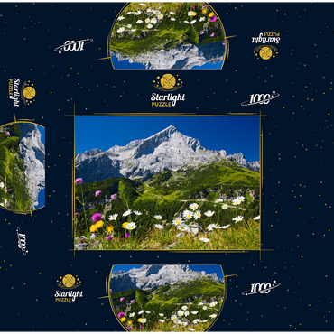 View from Kreuzjoch (1719m) to Hochalm against Alpspitze (2628m) with daisies 1000 Jigsaw Puzzle box 3D Modell