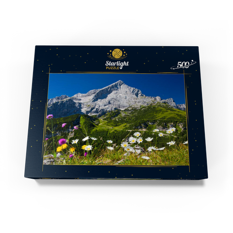 View from Kreuzjoch (1719m) to Hochalm against Alpspitze (2628m) with daisies 500 Jigsaw Puzzle box view1