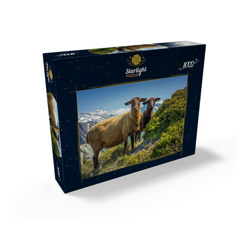 Brown mountain sheep in the hiking area Aletsch region, Aletsch region 1000 Jigsaw Puzzle box view1