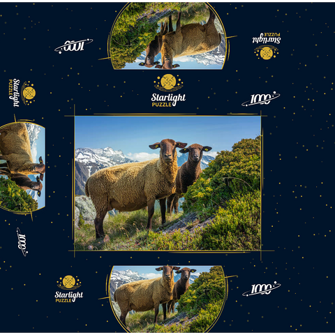 Brown mountain sheep in the hiking area Aletsch region, Aletsch region 1000 Jigsaw Puzzle box 3D Modell