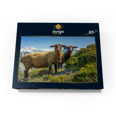 Brown mountain sheep in the hiking area Aletsch region, Aletsch region 100 Jigsaw Puzzle box view1