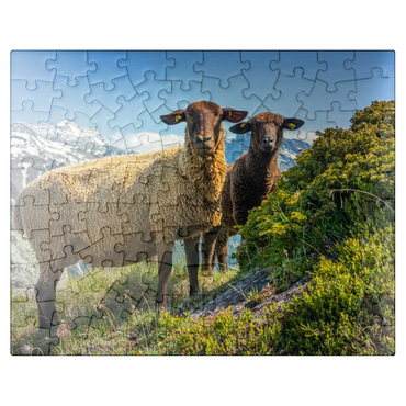 puzzleplate Brown mountain sheep in the hiking area Aletsch region, Aletsch region 100 Jigsaw Puzzle