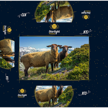 Brown mountain sheep in the hiking area Aletsch region, Aletsch region 100 Jigsaw Puzzle box 3D Modell