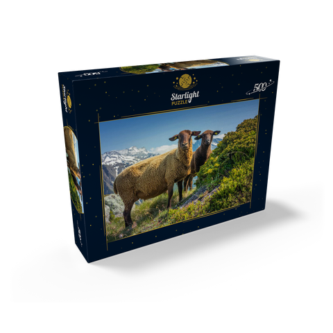 Brown mountain sheep in the hiking area Aletsch region, Aletsch region 500 Jigsaw Puzzle box view1