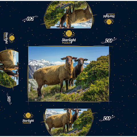 Brown mountain sheep in the hiking area Aletsch region, Aletsch region 500 Jigsaw Puzzle box 3D Modell