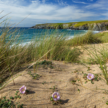 Dunes on the beach of Holywell Bay near Newquay, north coast, Cornwall 1000 Jigsaw Puzzle 3D Modell