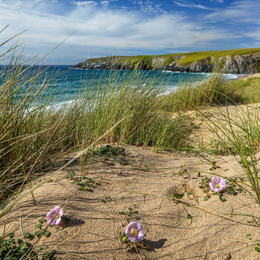 Dunes on the beach of Holywell Bay near Newquay, north coast, Cornwall 500 Jigsaw Puzzle 3D Modell