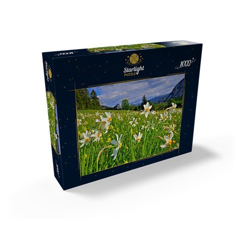 Blooming daffodil meadow, Tauplitz, Salzkammergut, Styria, Austria 1000 Jigsaw Puzzle box view1