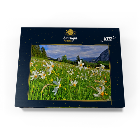 Blooming daffodil meadow, Tauplitz, Salzkammergut, Styria, Austria 1000 Jigsaw Puzzle box view1