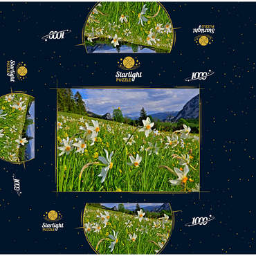 Blooming daffodil meadow, Tauplitz, Salzkammergut, Styria, Austria 1000 Jigsaw Puzzle box 3D Modell