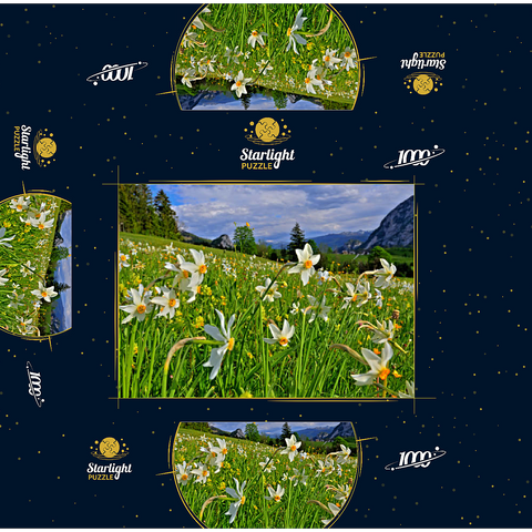 Blooming daffodil meadow, Tauplitz, Salzkammergut, Styria, Austria 1000 Jigsaw Puzzle box 3D Modell