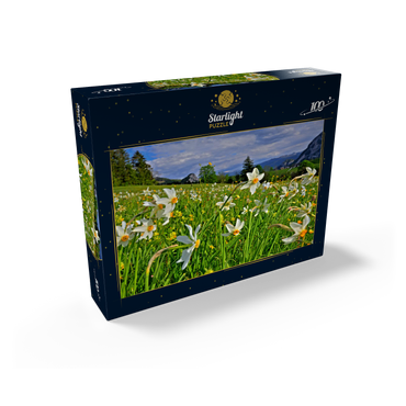 Blooming daffodil meadow, Tauplitz, Salzkammergut, Styria, Austria 100 Jigsaw Puzzle box view1