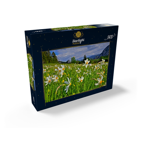 Blooming daffodil meadow, Tauplitz, Salzkammergut, Styria, Austria 500 Jigsaw Puzzle box view1