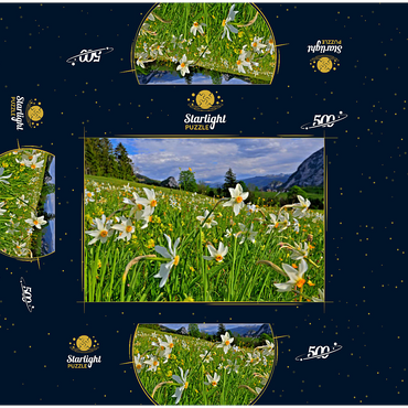 Blooming daffodil meadow, Tauplitz, Salzkammergut, Styria, Austria 500 Jigsaw Puzzle box 3D Modell