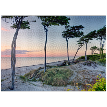 puzzleplate West beach at the Darss forest near Prerow, Fischland-Darß-Zingst 1000 Jigsaw Puzzle