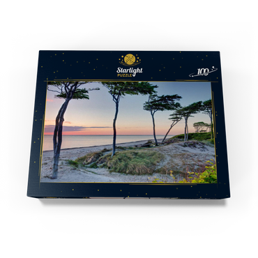 West beach at the Darss forest near Prerow, Fischland-Darß-Zingst 100 Jigsaw Puzzle box view1