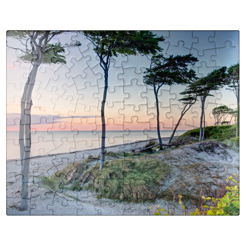 puzzleplate West beach at the Darss forest near Prerow, Fischland-Darß-Zingst 100 Jigsaw Puzzle
