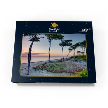 West beach at the Darss forest near Prerow, Fischland-Darß-Zingst 500 Jigsaw Puzzle box view1