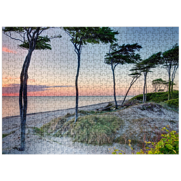 puzzleplate West beach at the Darss forest near Prerow, Fischland-Darß-Zingst 500 Jigsaw Puzzle
