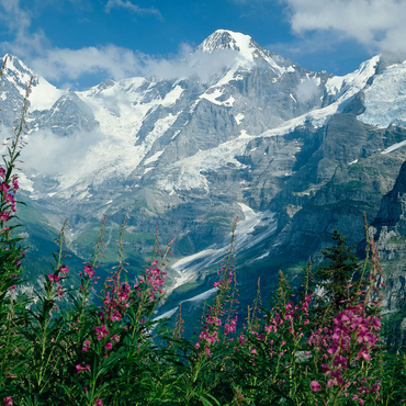 View from Mürren to Eiger, Mönch and Jungfrau, Canton Bern, Switzerland 1000 Jigsaw Puzzle 3D Modell