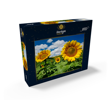 Sunflower field 1000 Jigsaw Puzzle box view1