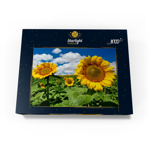 Sunflower field 1000 Jigsaw Puzzle box view1