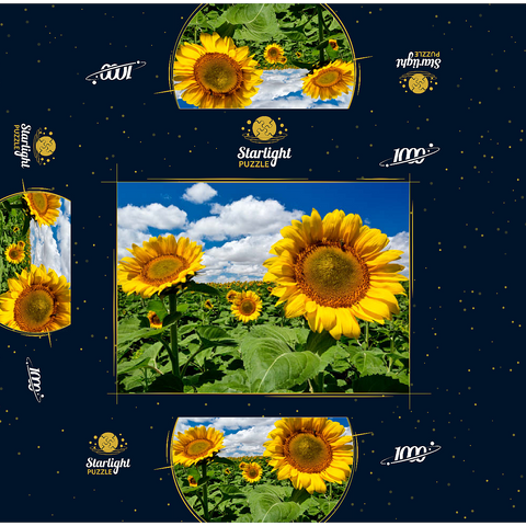 Sunflower field 1000 Jigsaw Puzzle box 3D Modell