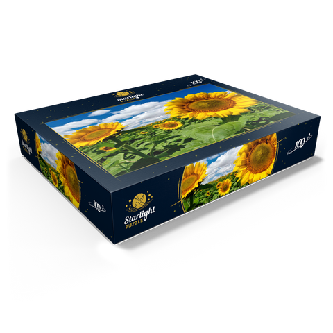 Sunflower field 100 Jigsaw Puzzle box view1
