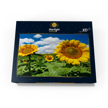 Sunflower field 100 Jigsaw Puzzle box view1