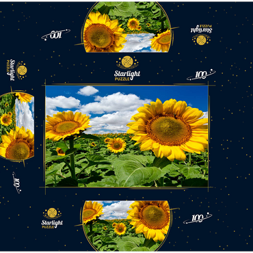 Sunflower field 100 Jigsaw Puzzle box 3D Modell