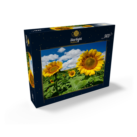 Sunflower field 500 Jigsaw Puzzle box view1