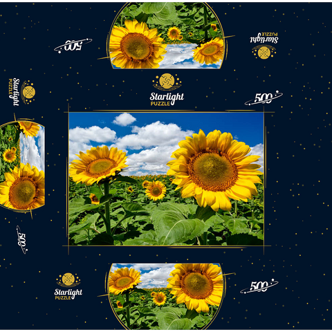 Sunflower field 500 Jigsaw Puzzle box 3D Modell