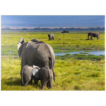 puzzleplate Elephants (Loxodonta africana) in Amboseli National Park 1000 Jigsaw Puzzle