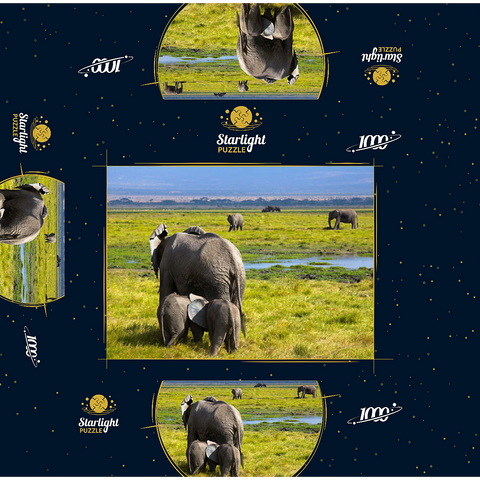 Elephants (Loxodonta africana) in Amboseli National Park 1000 Jigsaw Puzzle box 3D Modell