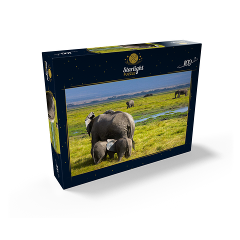 Elephants (Loxodonta africana) in Amboseli National Park 100 Jigsaw Puzzle box view1